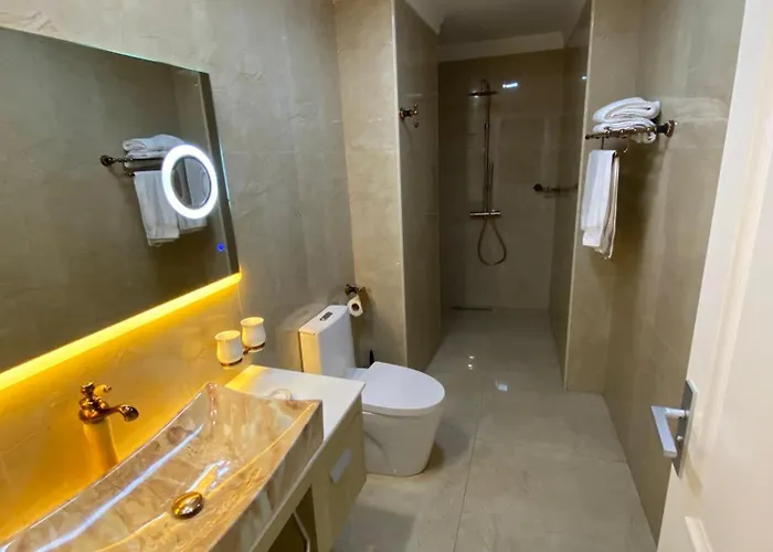 Ξενοδοχείο Brais 4*